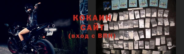 тгк Алзамай