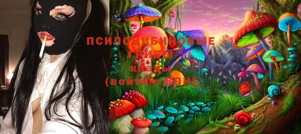 тгк Алзамай