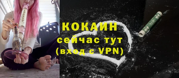 тгк Алексин