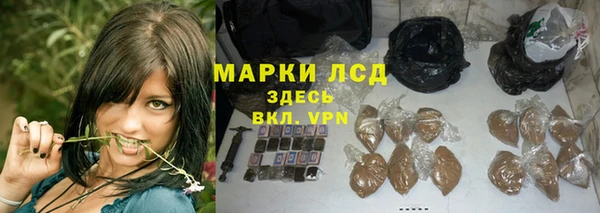 тгк Алзамай